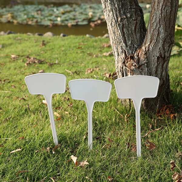 Stora Växtetiketter för Utomhusbruk för Grönsaker - 30-pack, 27 cm (B)