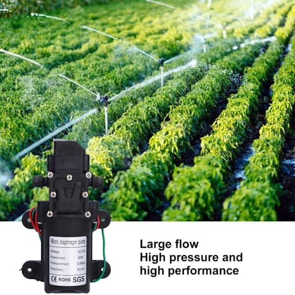 12V 60W Membranpumpa för Pooler och Trädgårdar