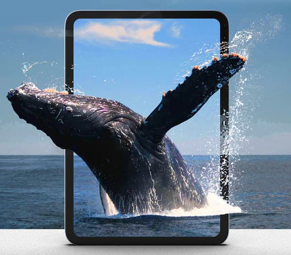 2-pack härdat glas med applikator för iPad Pro 11 2024/2025