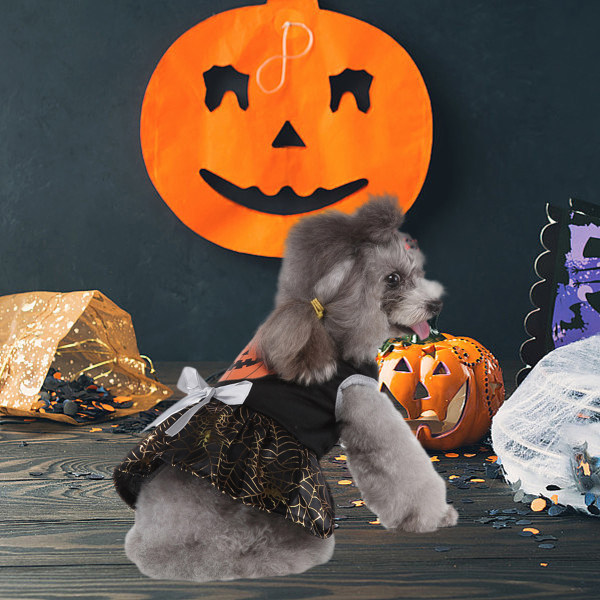1 Set Pumpkin Spider Web Halloween Pet Supplies Hundkläder Witc