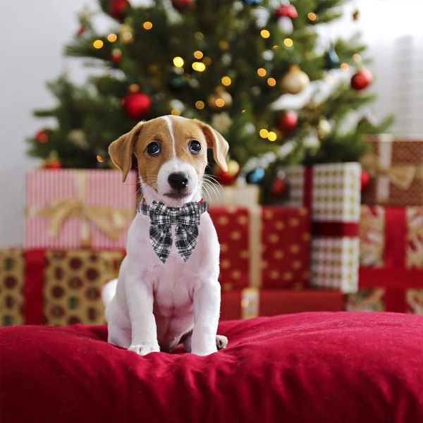 Julhundhalsband med rosett, fluga hundjul