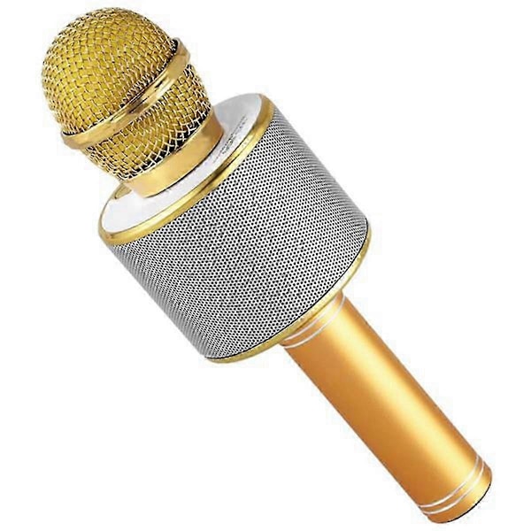 Ws858 Profesjonell Håndholdt Trådløs USB Høyttaler Mikrofon for Barn Musikkspiller Sang KTV Opptaker
