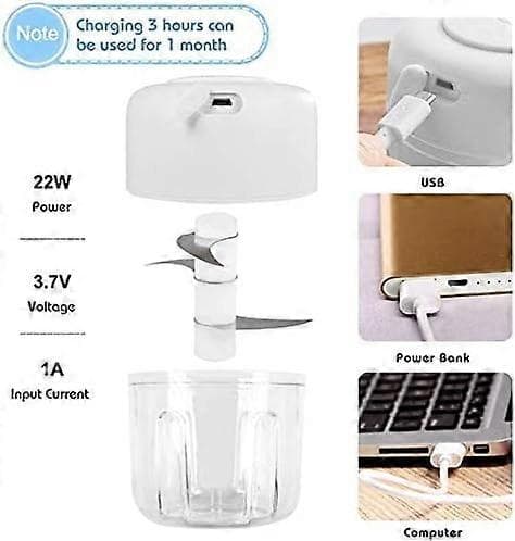 Mini Elektrisk Hackare, 250ML Mini Mixer Kött Hackare, Elektrisk Morotsrivare Grönsaksskärare Multi