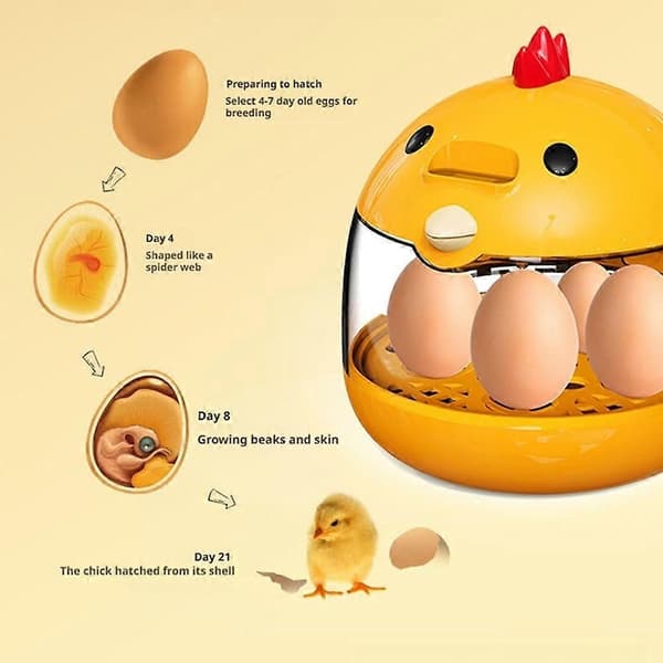 Egginkubator for ruging av egg Liten smart inkubator med konstant temperatur
