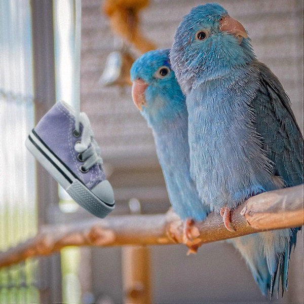 8-delars Papegojsneakers Färgglada Bomullsstrimlare Hängande Bur Bittande Leksaker för Bebispapegojor