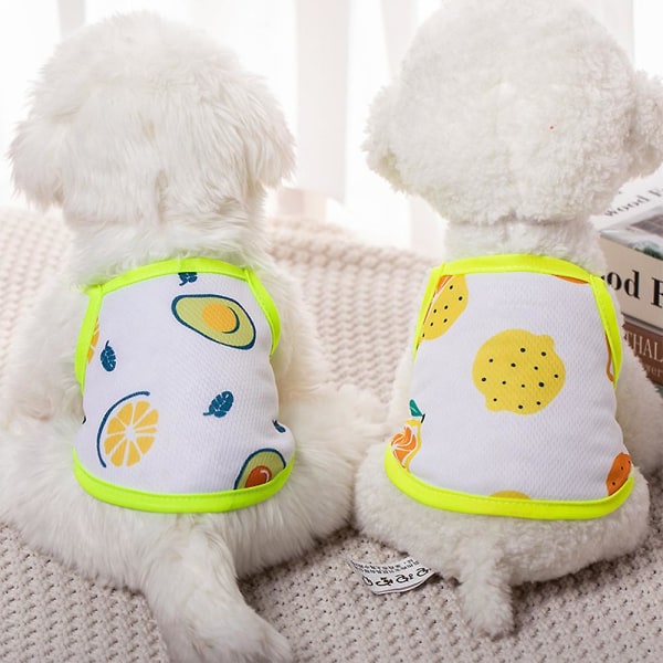 Liivi Olkaimet Koiran Vaatteet Kesä Lemmikkivaatteet Kissa Bichon Frise Taistelu Pomeranian Pennun Vaatteet XL