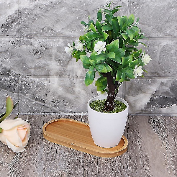 Oval Bambusbrett Naturlig Dessertkoppbrett Liten Treostplate x