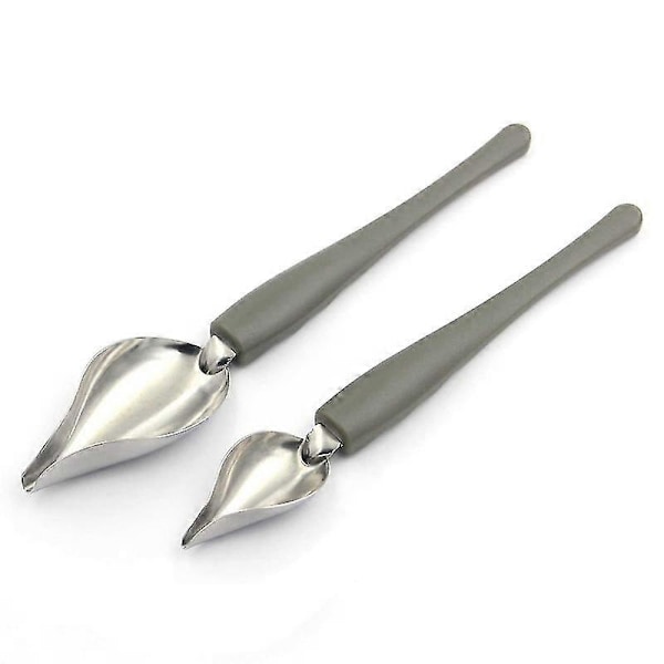 2 st Precisionsskedar för kulinarisk ritning och dekorering, såsskedar i rostfritt stål med avsmalnande pip för dekorering av tallrikar, tårtor, desserter (2 S