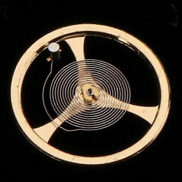 Watch nce Hjulspiralfjäder Reparationsverktyg för 46941 46943 Modeller, Urmakare Underhållskit, Precisionsurmakeriinstrument
