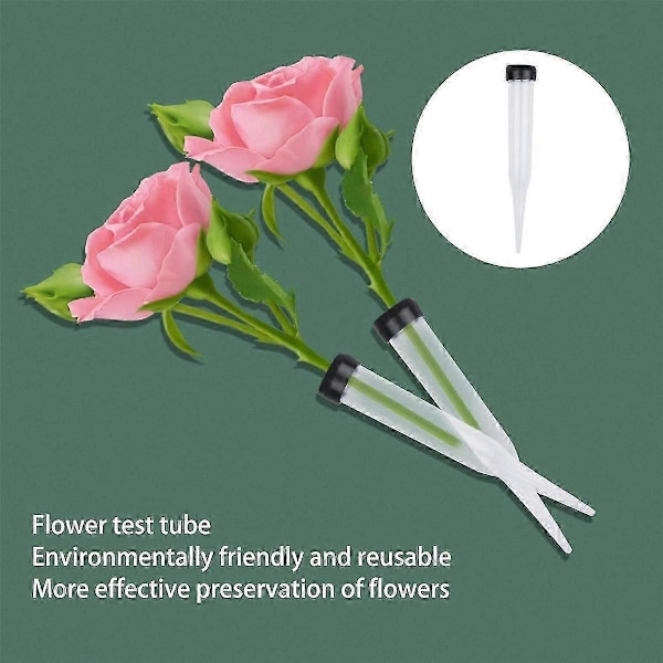 Blomster Rør Pakke med 50 Plastik Blomster Rør, Transparent Vand Rør til Blomster, Genanvendelige Blomster, Vand Rør