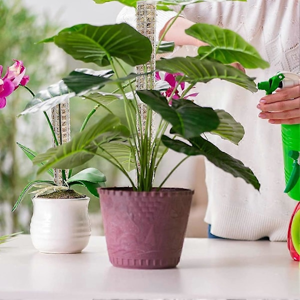 8 kpl Sammalseipäät Kookoskuitu Sammalseiväs Pinottavat Kasvitukikepit Monstera Kasvituki Muovipallo