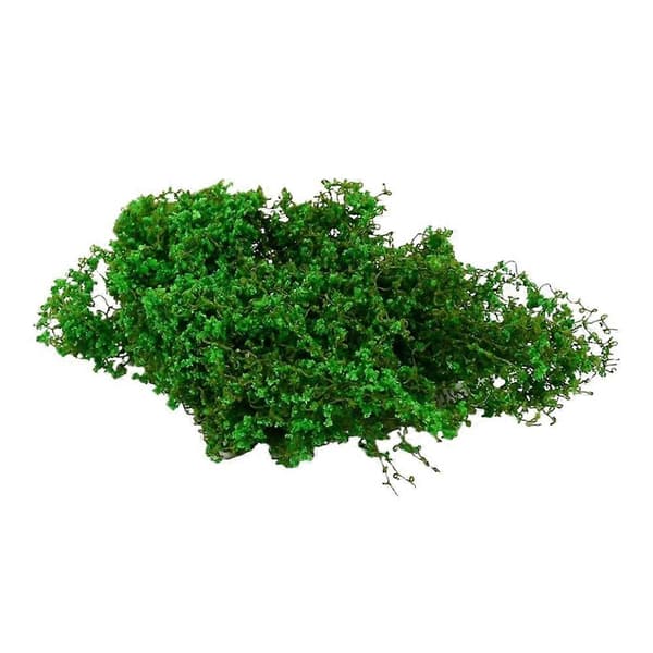 Simulering Mikrolandskap Dekorativa Gröna Växter Deep green