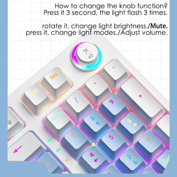 Mekaniskt tangentbord med 98 tangenter i full storlek Hot-Swappable RGB-bakgrundsbelyst USB -trådbunden PC-speltillbehör Ergonomiska knappsatser Blue and White Blue Switch