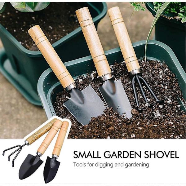 Mini Hageverktøy, Lite Rive- og Spadesett, Liten Spade, Rive og Plantespade med Trehåndtak for Potteplanter til Hageplanter Innendørs Utendørs, 3 stk