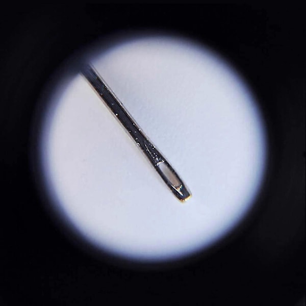 50x Bærbar Lommelup med UV og LED Lys Mini Letvægts Håndholdt