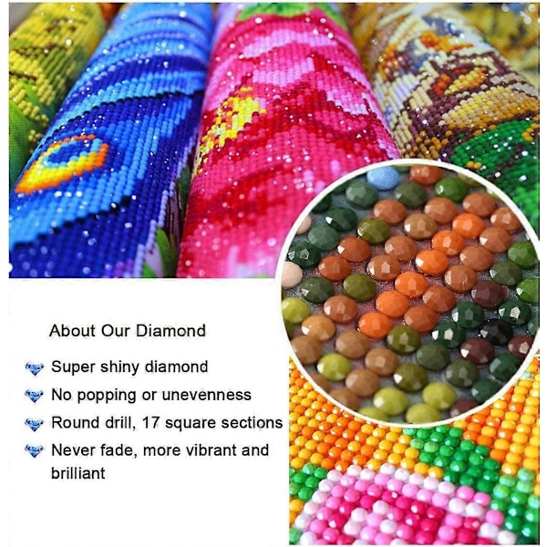 DIY Diamantmålningskit för Vuxna Indianer, Diamantkonst Kvinna Full Borr Rund Strass Diamantmålningstillbehör, Korsstygn Broderi Canvas