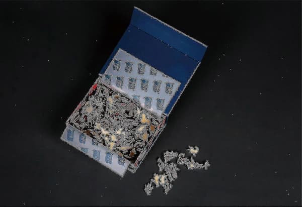 Påfugl Uregelmessig 3D Dyrepuslespill 300 Biter (stor)