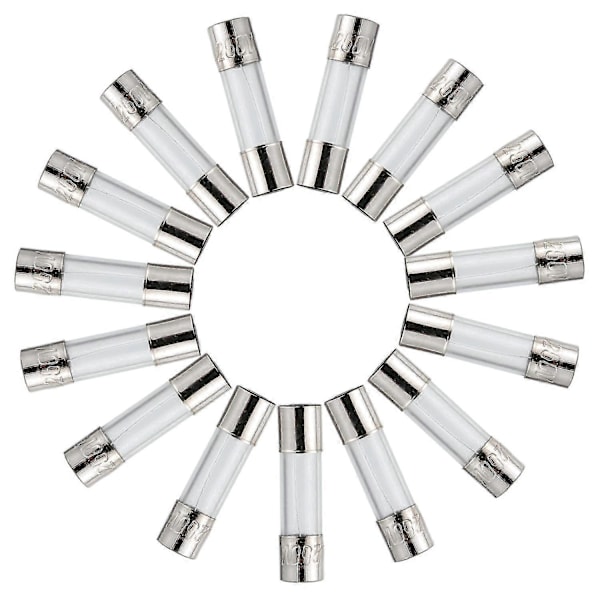 T3.15AL250V 5x20mm 3.15A 250V Langsom Blæsning Sikringer 3.15 Amp 250 Volt 0,2 x 0,78 Tommer Glasrør (Pakke med 20 stk)