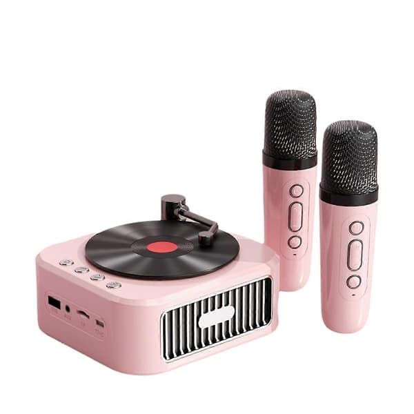 Retro Bluetooth5.3 -kaiutin kahdella mikrofonilla, vinyylilevy D
