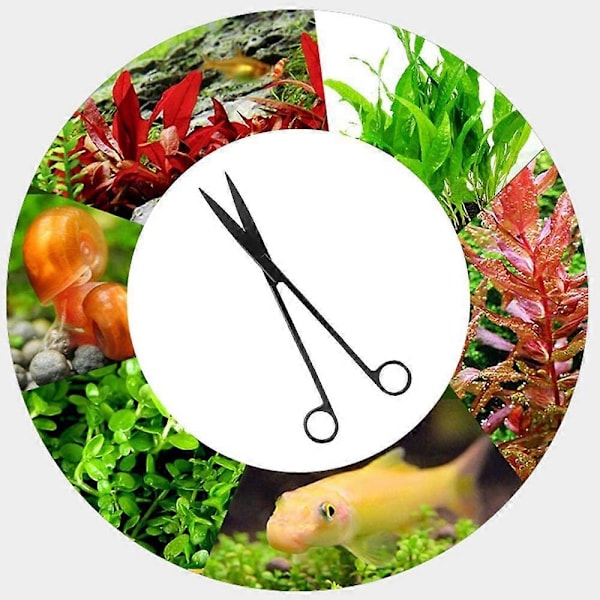 Ergonomisk Design Akvariesaks i Rustfrit Stål, Præcist Trimmet til Vedligeholdelse af Vandplanter, Rustfrie Kvalitetsblade, Komfortable Fingre