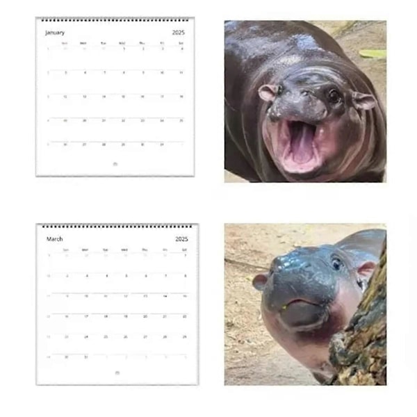 2025 MooDeng Kalender, Moodeng Kalender