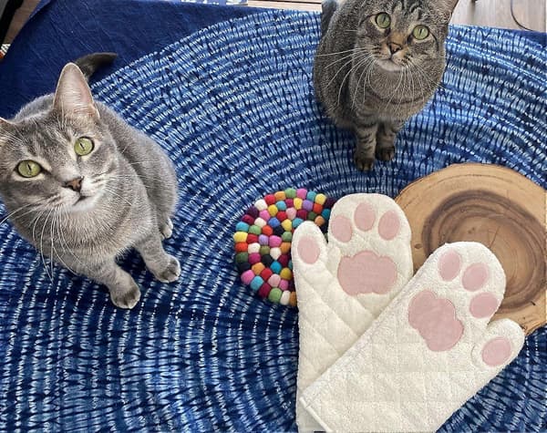 Grytvantar Katt Tassar - Vit och Rosa