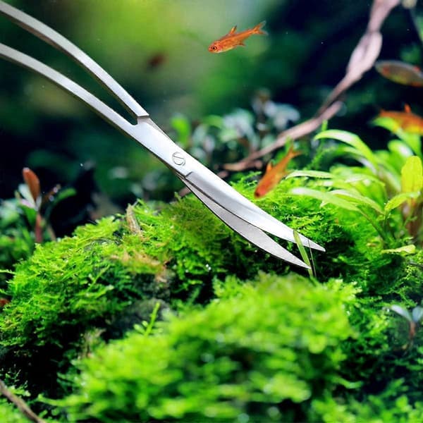 Akvariesaks med buet hode for vannplanter 24cm