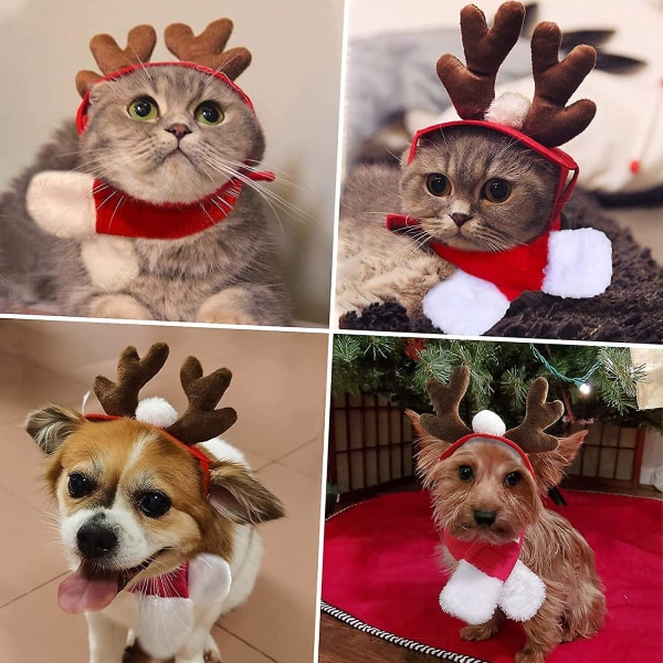 Husdjurskostymset - Liten Hund Katt Sjömanskostym, Halloween Häxhatt, Jultomteset, Jul Renhorn Hårband Med Halsduk, Nyårsdräkt för Husdjur