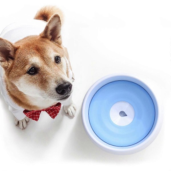 Spildfri Vandskål til Hund Langsom Foderskål Hundefoderskål Kæledyr Langsom Foderskål Drikkefoderskål Hundevandskål A