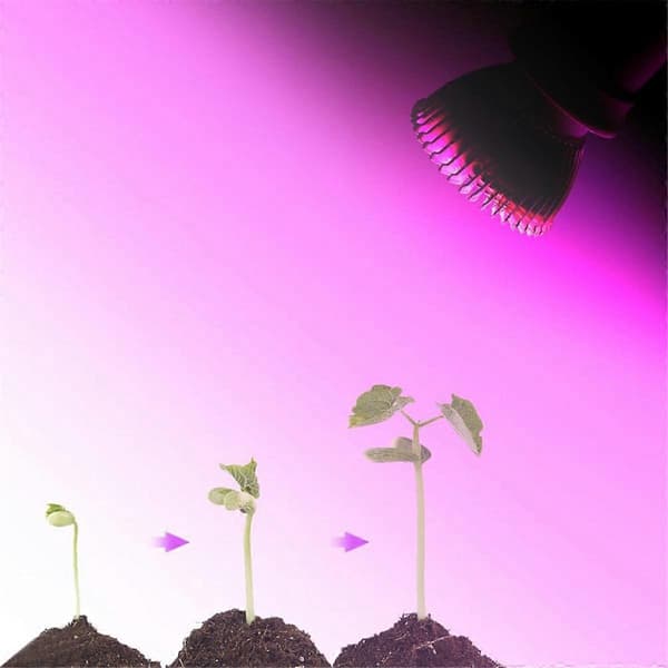 2 stk. E14 Plantelys 85-265V Fuld Spektrum LED Vækstlys til Hydroponisk Indendørs Have Grøn