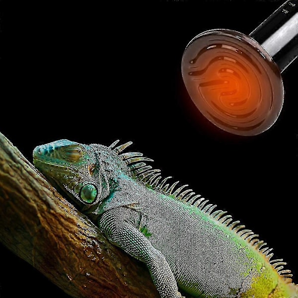 Keramisk varmelampe pære infrarød krybdyr varmeemitter varme lamper pærer