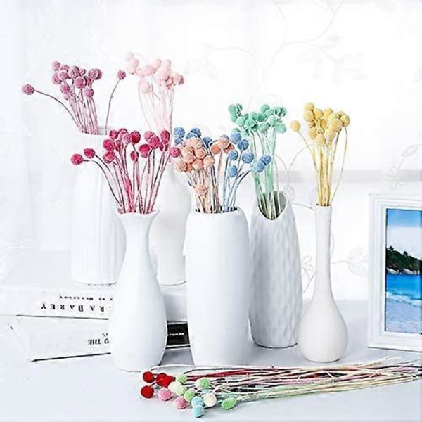 Craspedia globosa 20 stk. Materiale Blomst Udødelige Evige Blomster Gave (Taro Lilla, 20 stk.)