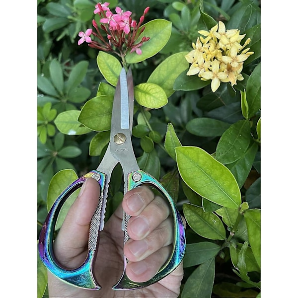 Inneplante Saks og Hagesaks, Japansk SK5 Rustfritt Stål Drue Saks, Blomster Urter Bonsai og Gress Saks, Saks, Premium Hus