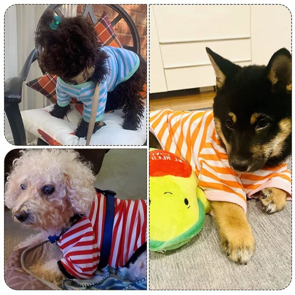 6-delt Hund Stripe T-skjorte Sett - Pustende Kjæledyrklær For Sporty Hunder S
