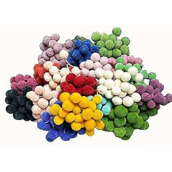 Craspedia globosa 20 stk. Materiale Blomst Udødelige Evige Blomster Gave (Taro Lilla, 20 stk.)