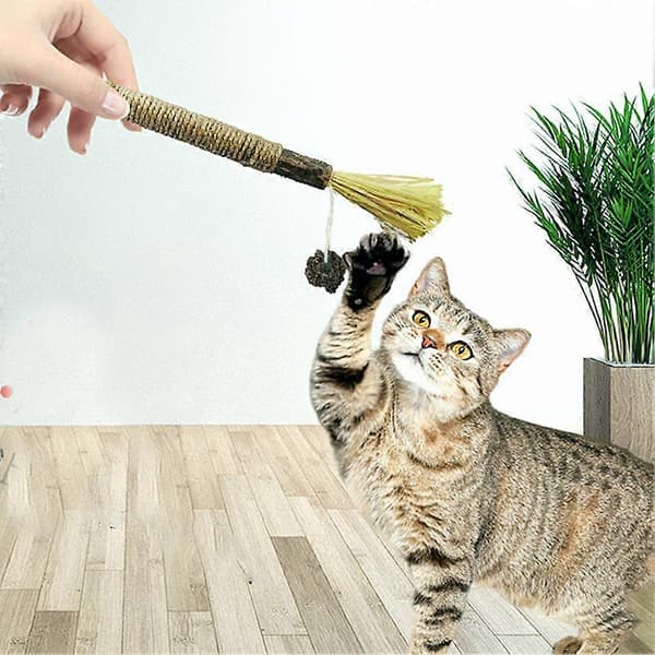 Naturlige Silvervine Dentalpinde, Silvervine Pinde HO T Til Katte E4N8 10