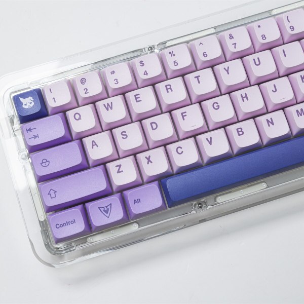 XDA Keycaps 145 Keycaps GMK Frost Witch Theme Keycaps Dye Sublimation PBT Keycaps The Ice Lady Pack by plastic bag