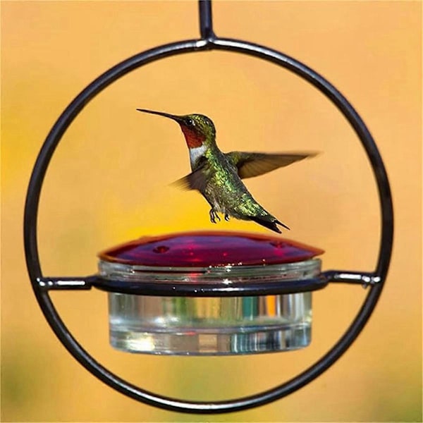 Kaunis pyöreä riippuva lintulauta, tiivis pyöreä riippuva lintulauta, kolibrin ruokinta