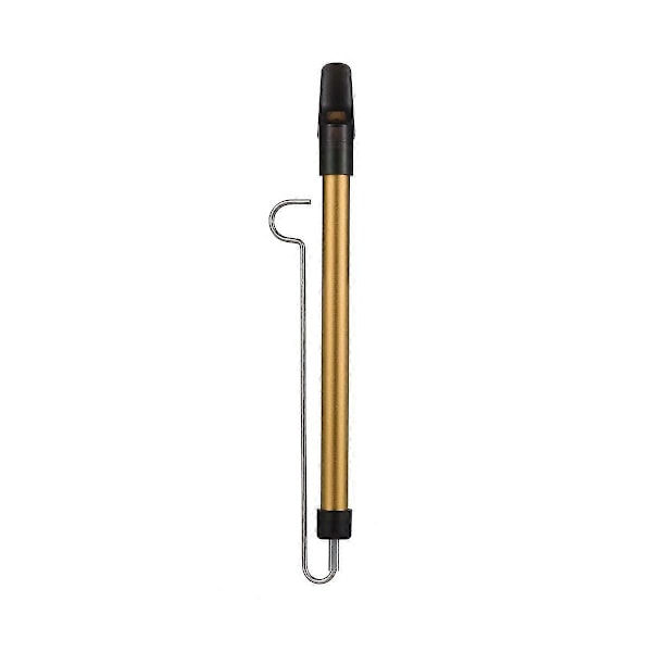Metall Slide Whistle Skala Glidande Flöjt med Stål Glidstång Musikinstrument Leksak för Barn Flöjt (Guld)