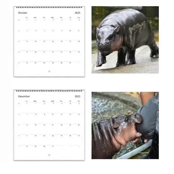 2025 MooDeng Kalender, Moodeng Kalender