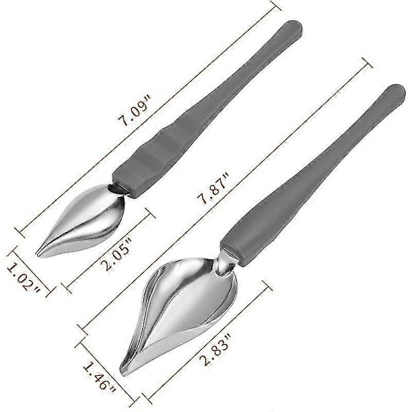 2 st Precisionsskedar för kulinarisk ritning och dekorering, såsskedar i rostfritt stål med avsmalnande pip för dekorering av tallrikar, tårtor, desserter (2 S
