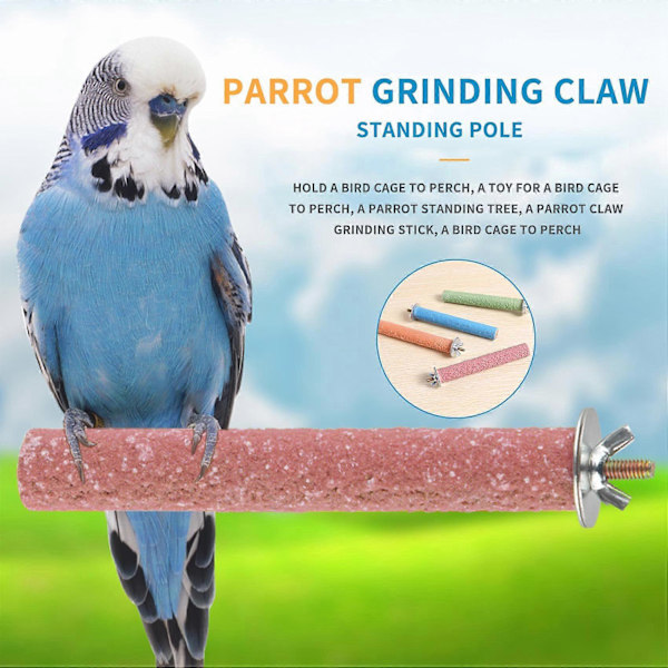 7 st Grepp Fågelburar Sittpinnar för Conures Parakiter Dvärgpapegojor Cockatiels, Bra för att Hålla Klor och Näbbar