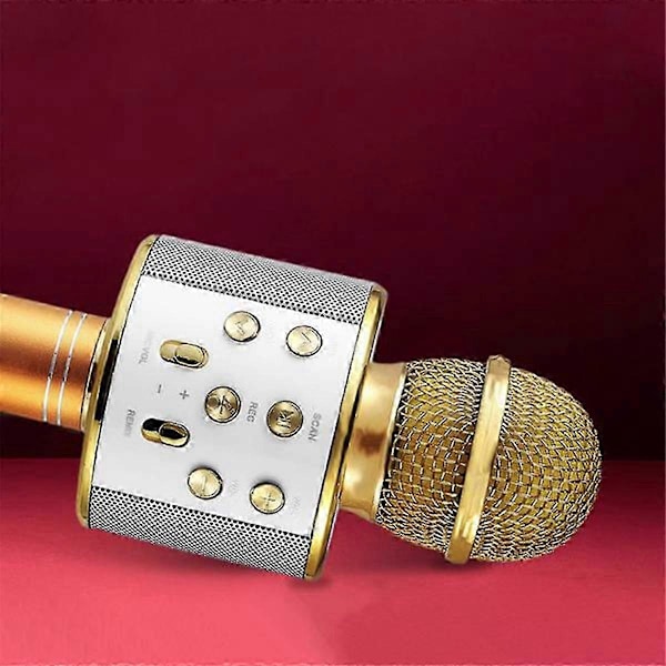 Ws858 Profesjonell Håndholdt Trådløs USB Høyttaler Mikrofon for Barn Musikkspiller Sang KTV Opptaker
