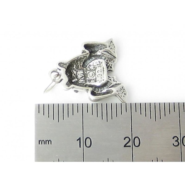 Frø - Tudse 2d Sterling Sølv Charm .925 X 1 Frøer Tudser Charms - 560