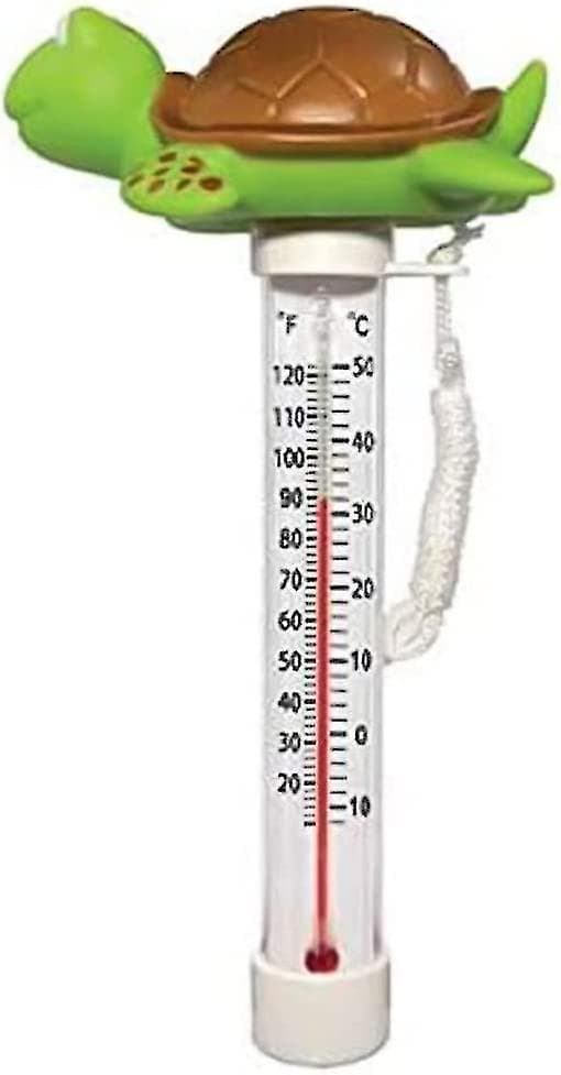 Pool Termometer Vandtermometer Vandtermometer Dam Vandtermometer