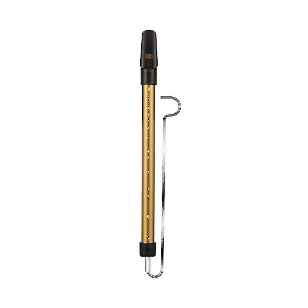 Metall Slide Whistle Skala Glidande Flöjt med Stål Glidstång Musikinstrument Leksak för Barn Flöjt (Guld)