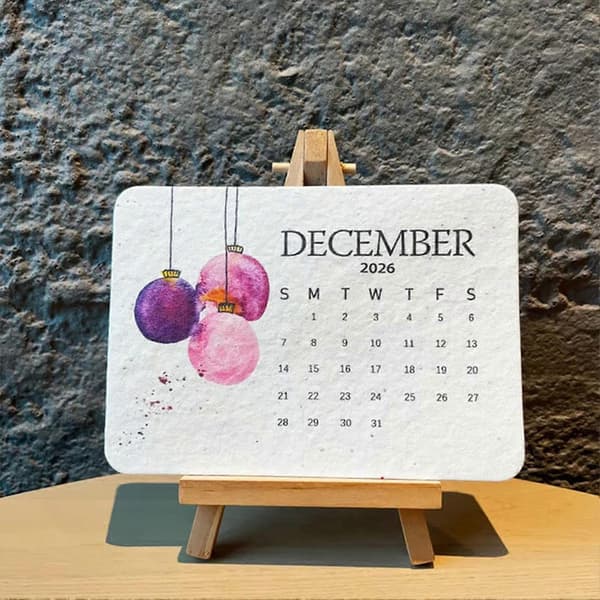 Plantbar Frøkalender Kjærlighetskalender Hjerteformet Frø Valentinsdagsgave