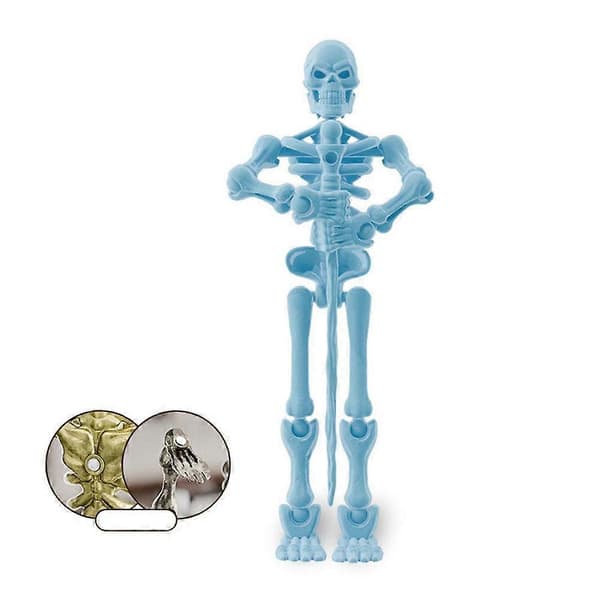 Skeleton Doll Toy, Multi-jointed Movable Skeleton Decor Blå