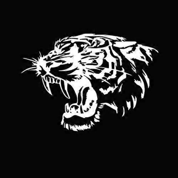 2 stk. bilklistremerker Bilpanser bilklistremerker Reflekterende tigerhode klistremerker Tilpasset personlighet modifiserte karosseriklistremerker