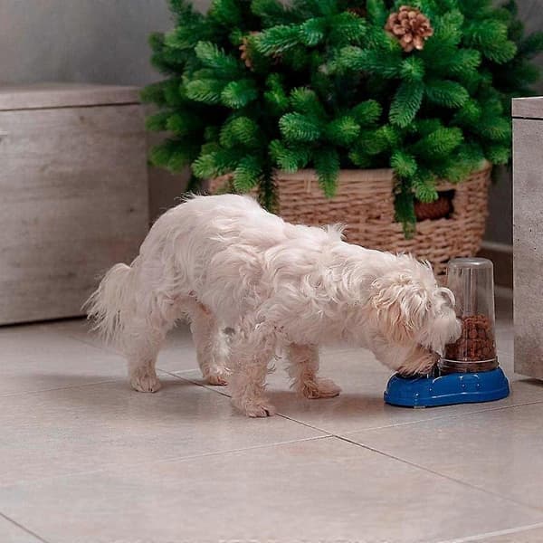 Foder- eller vanddispenser til hunde og katte, tørfoderautomat, vand 0,6 liter, blå